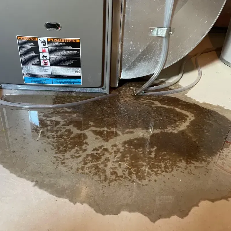 Appliance Leak Cleanup in McMurray, PA